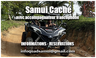 samuicache2025