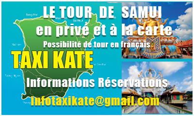 taxikate 2025